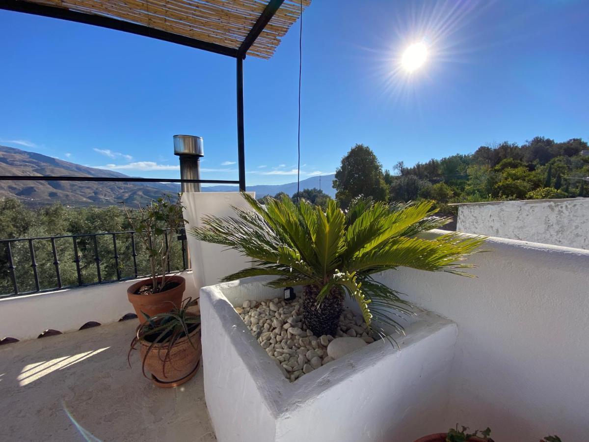 Casa Limon Bed and Breakfast Pinos del Valle Eksteriør billede
